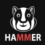 Hammer Hamster Vpn v10.0.1 APK