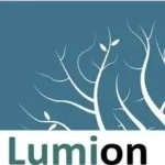 Lumion 11.0.1.9